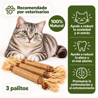 Zabyro™ Palitos Naturales de Silvervine